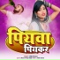 DILIP DIWANA