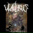 Walrus