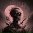Novera