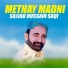 Sajjad Hussain Saqi