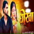 Bheem Bedardi