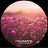 novastra