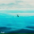 EvgK