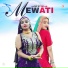 Subeen Singer Mewati, Chanchal Mewati