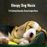 Sleeping Handpan Music For Dogs