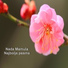 Nada Mamula