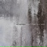 Peter Ries