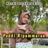 Nurmi Surahma Dilla