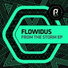 Flowidus