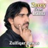 Zulfiqar Bewas
