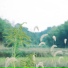 夏小桃