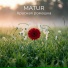 MATUR
