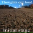 Initial stage