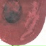 Sogyumo Acacia Band