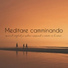 Felice Atmosfera