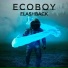 Ecoboy
