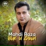 Mahdi Raza
