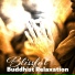 Calm Music Masters Relaxation