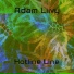 Adam Liivy
