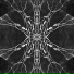 ZIONYX