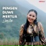 Dian Anic