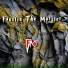 Faustin The Marster