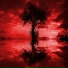 Bebold