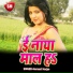 Hemant Harjae