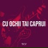 TICY