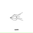 SAPO