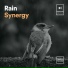 The Sound Of The Rain