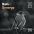 The Sound Of The Rain