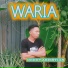 Deddy Ariestian