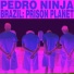 Pedro Ninja