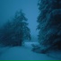 wintercat