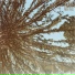 Inner Trails