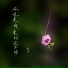 童洋