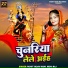 Rohit Yadav Rishi, Vikash Raj