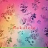 Hokulele