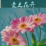 张悦萱
