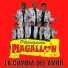 Organizacion Magallon