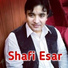 Shafi Esar