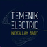 TEMENIK ELECTRIC