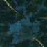 Zoom Root