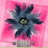 Igor FLY