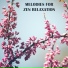 Sounds of Nature Relaxation