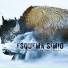 Esquema Símio