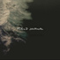 Field Journal