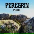 Peregrin