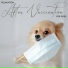 Calm Pets Music Academy